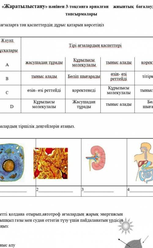 Жаратылыстану тжб помагите 