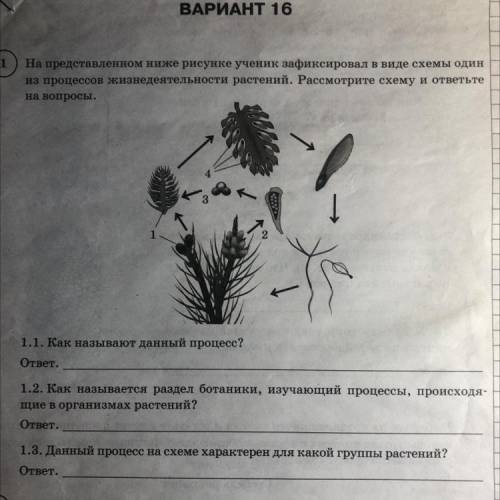 1. Как называют этот процесс? 2. Как называется раздел ботаники, изучающий процессы, происходящим в