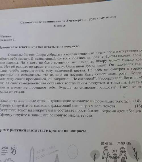 СОЧ по русскому 5 класс ​