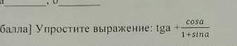 Упростите выражение tga+cos a/1+sin a