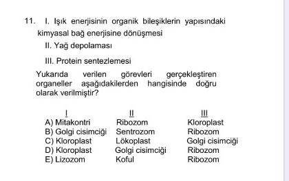 Acil yazinn kesin doğru olsun ama