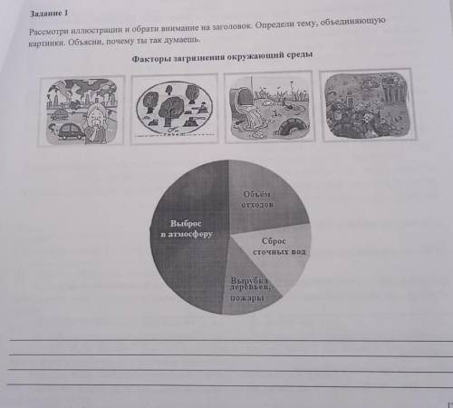 это СОЧ Тут проценты написать нада​