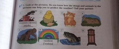 1. Look at the pictures. Do you know how the things and animals in the can help you to predict the w