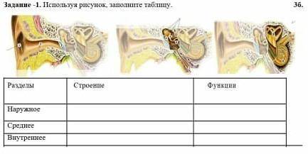 СОЧ используя рисунок, заполните таблицу разделы 