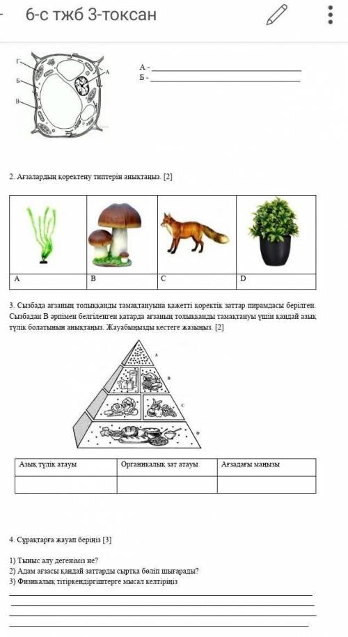 МОЖЕТЕ СОЧ 6 КЛАСС 3 ЧЕТВЕРТЬ 