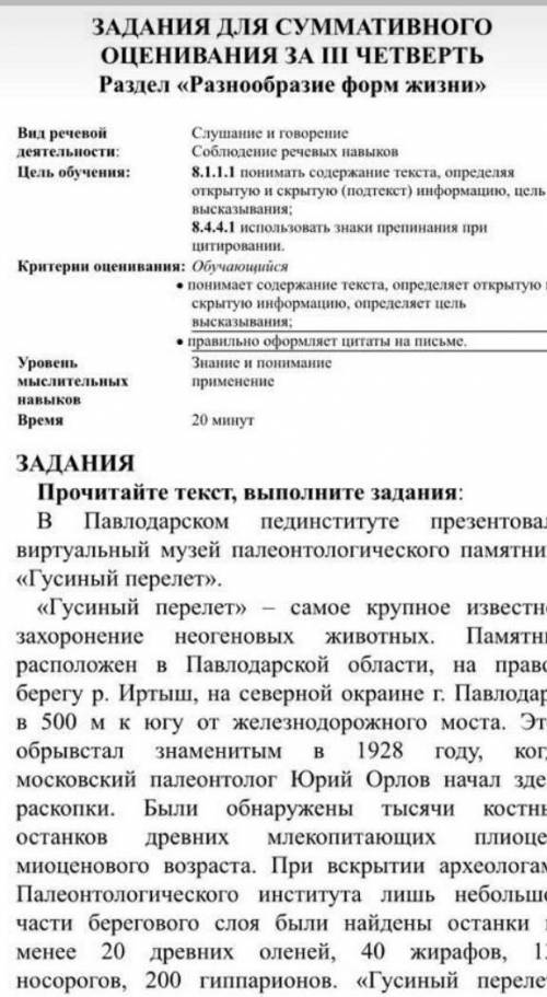 Соч русский язык 3 четверти 