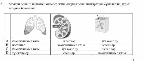 Aғзадан бөлініп шығатын өнімдер және оларды бөліп шығаратын мүшелердің дұрыс қатарын белгілеңіз