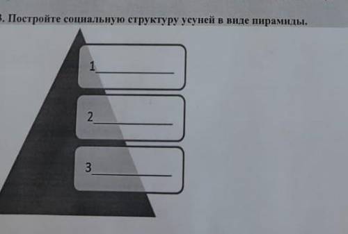 Постройте социальную структуру усуней в виде пирамиды