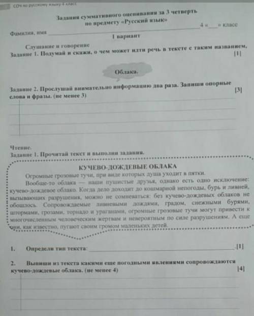 СОЧ по русскому языку сделайте 