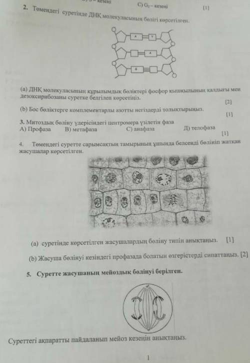 Тжб биология комектесндерш 