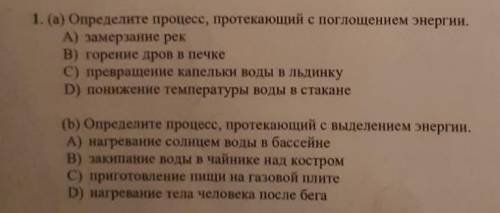 По пд рж пд рд рж рж пд а