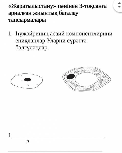 Нажми на фото и реши, ауу
