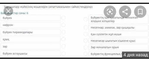 БЫСТРОбиология онлайн мектеееппа