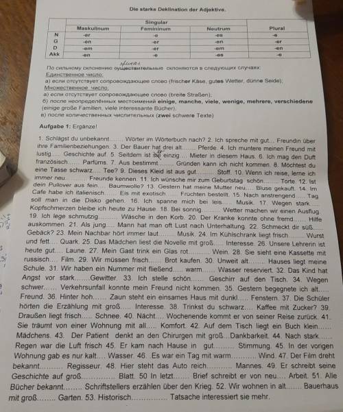 Ребят нужно. Немецкий язык вставить окончания.