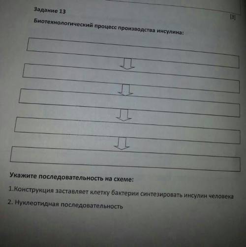 Биотехнологический процесс производства инсулина: Укажите последовательность на схеме: 1.Конструкция