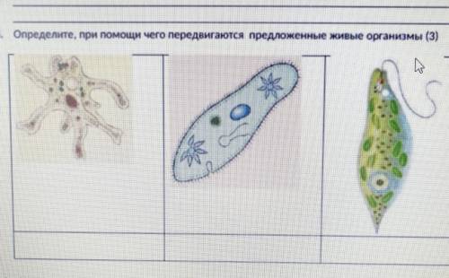 Определите при чего передвигаются предложенные организмы 