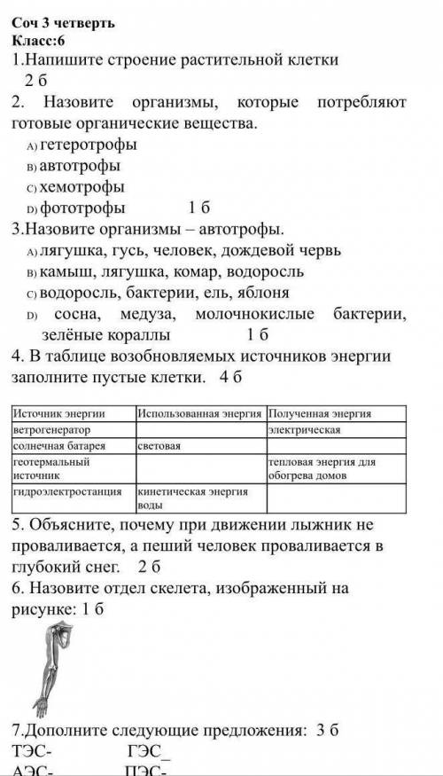 СОЧ 6 класс 3-четверть очень нужно 