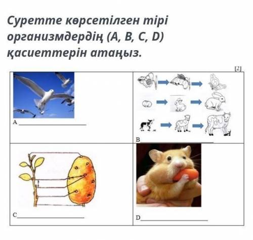 Соч соч соч соч соч соч соч