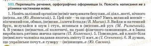 Українська мова 10 клас Н. Б. Голуб, В. І. Новосьолова.