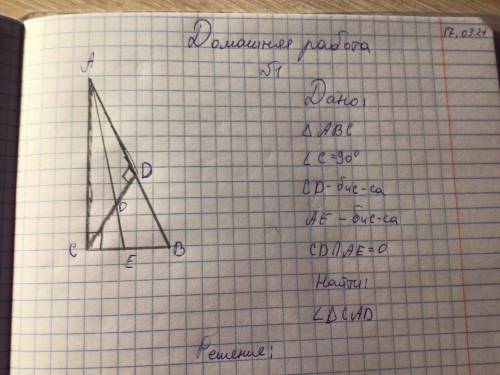 Нужно найти все углы треугольника CAD