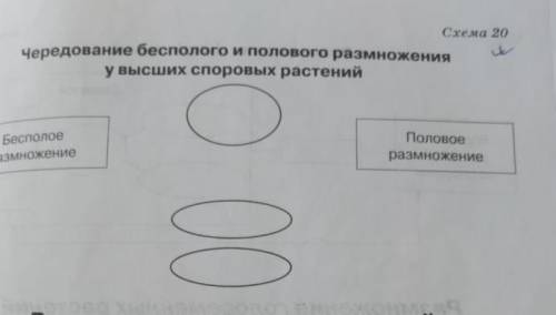 Чередование полового и бесполого размножения у высших половых растений таблица
