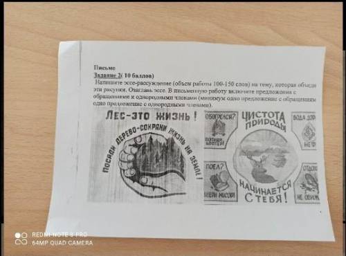 Сочинение рассуждение на тему чистота природы 