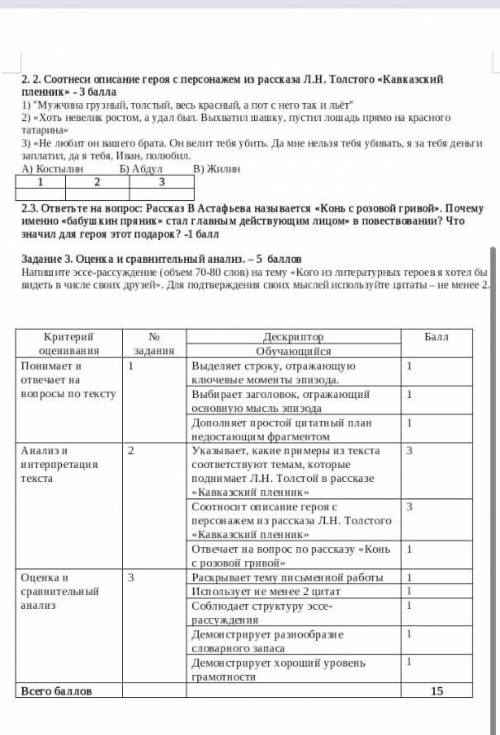 соч по русской литературе 