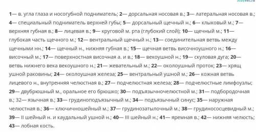 Что значит В. Н. М. В анатомии 