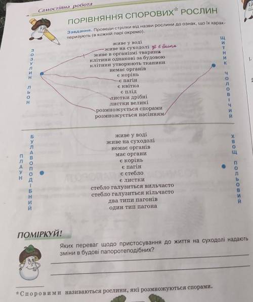 1 вправу повністю.Плз іть ів 