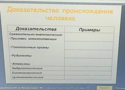 Таблица 'доказательства происхождения человека'