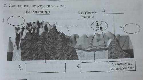 Заполните пропуски в схеме,все пронумеровала,просто впишите нужное слово и все 