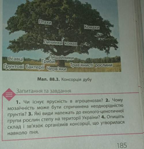 . НУЖНА ТОЛЬКО С ПЕРВЫМ И ЧЕТЫРЁМ ВОПРОСОМ 