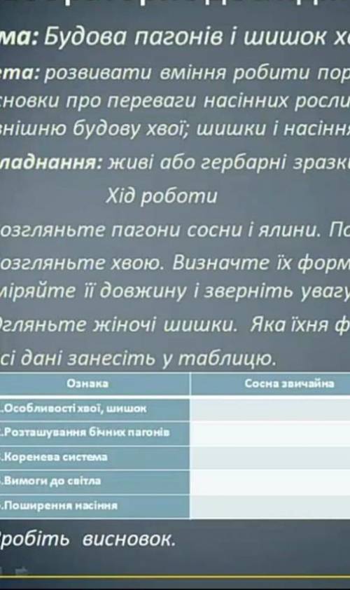 ів якщо розв'яжете табличку : там ще є ялина звичайна 