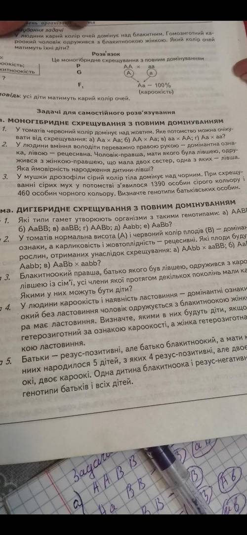 1 задача на фото до іть будь ласка