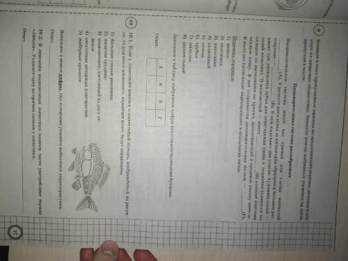 Впр по биологии 8 класс за 2021 вариант 2