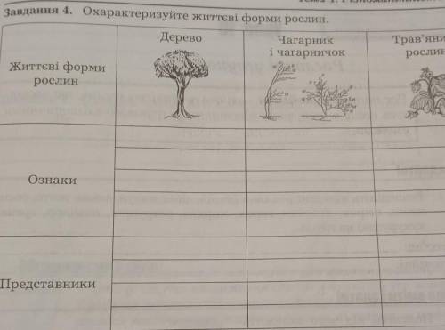 Жо іт в останьому трав'яниста рослина