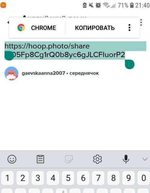 Https://hoop.photo/share/905Fp8Cg1rQ0b8yc6gJLCFIuorP2Через chrome