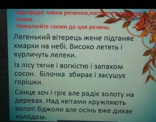 Решите по Украинскому языку на фото