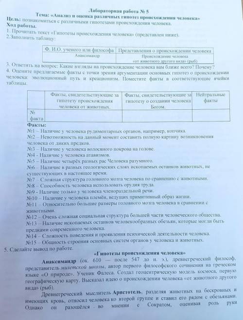 Анализ и оценка различных гипотез происхождения человека​