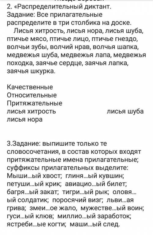ТЕМА: ПРИТЯЖАТЕЛЬНЫЕ ПРИЛАГАТЕЛЬНЫЕ​