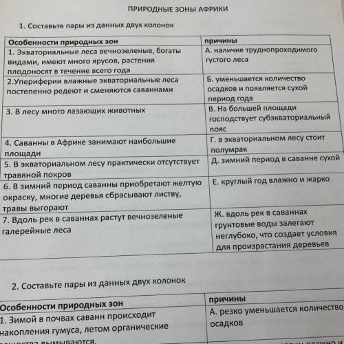 ПРИРОДНЫЕ Зоны АФРИки 1. Составьте пары из данных двух колонок Особенности природных зон причины 1.