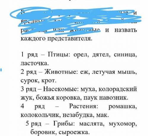 Назовите каждого представителя