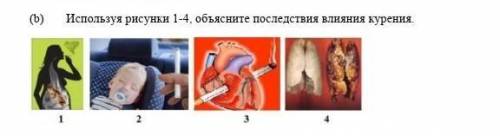 Биология, изпользуя рисунки 1-4, объясните последствия влияния курения 