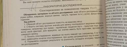 Балов много даю нужно зделай рабораторку : кот например