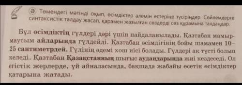 Ә) Төмендегі мәтінді оқып, өсімдіктер әлемін естеріңе түсіріңдер. Сөйлемдергесинтаксистік талдау жас