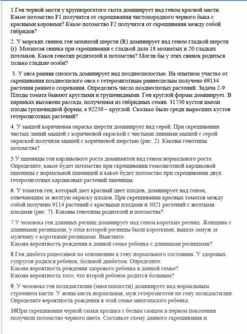 РЕШИТЕ 2 ЗАДАЧИ ИЗ ЭТИХ ДЕВЯТИ 