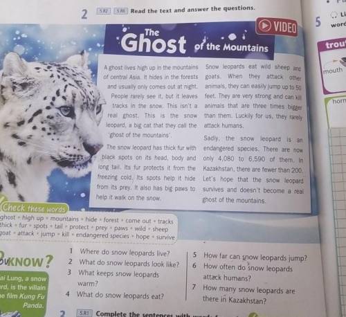 Read the text and answer the questions 