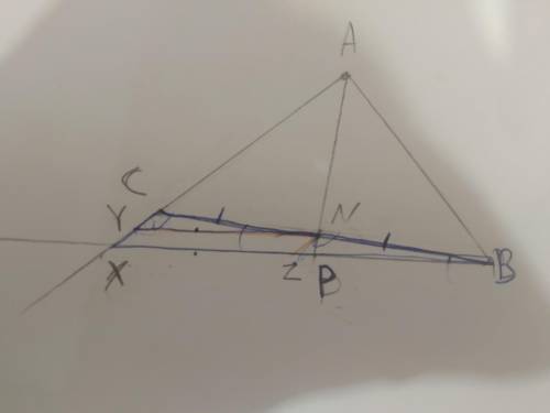 Может ли тут быть отношение cy/yx=cn/nb=1. Если да, то как это получилось?