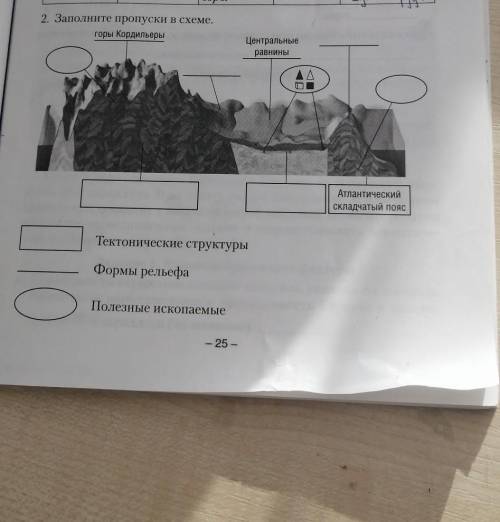 Заполните пропуски в схеме надо 