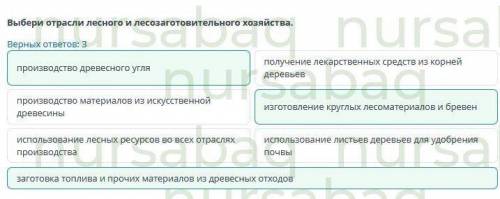 отраслевой состав мирового хозяйства: добывающая и перерабатывающая отрасли; сферы услуг. урок 1 онл